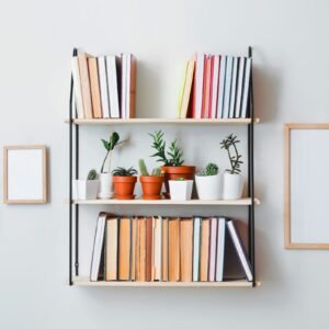 Bookshelf in the living room